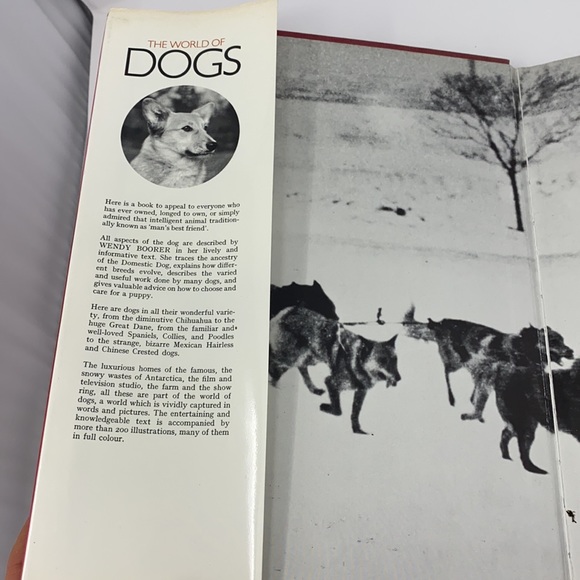 The World of Dogs Book By Wendy Boorer 1970s - Picture 4 of 17